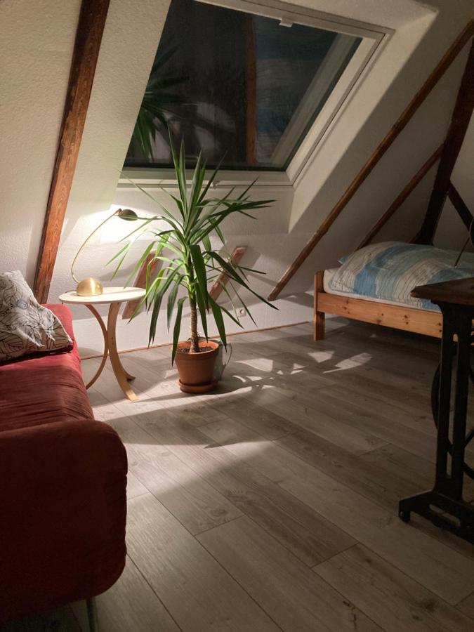 Privates Appartment Ferienwohnung Im Einfamilienhaus Dusseldorf Exterior photo